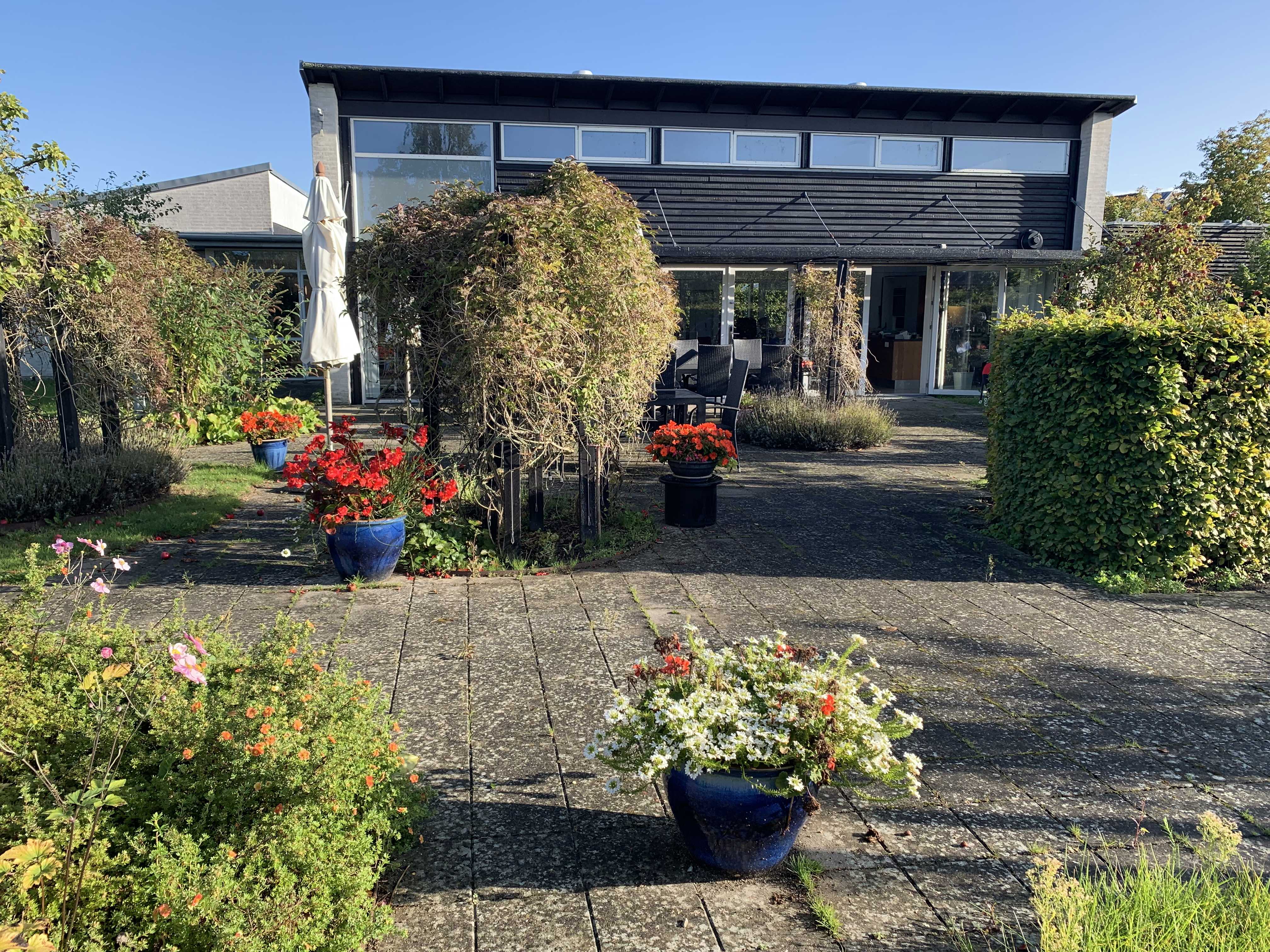 Kastanjehavens gårdhave